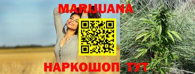 мдпв Заводоуковск