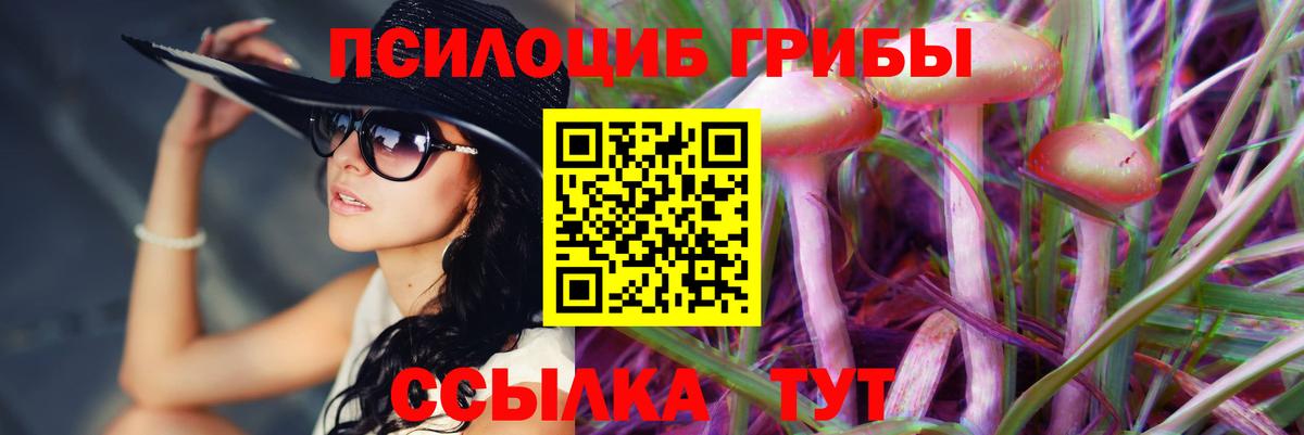 Галлюциногенные грибы прущие грибы  Будённовск 