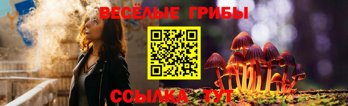 Псилоцибиновые грибы мухоморы Будённовск